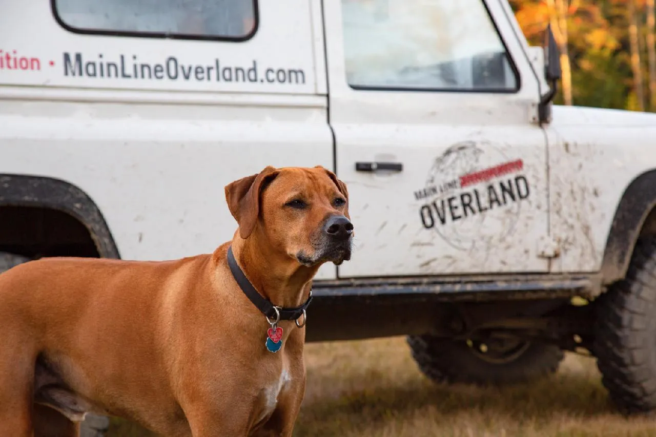MLO New England 2024 Trail Ride Series
